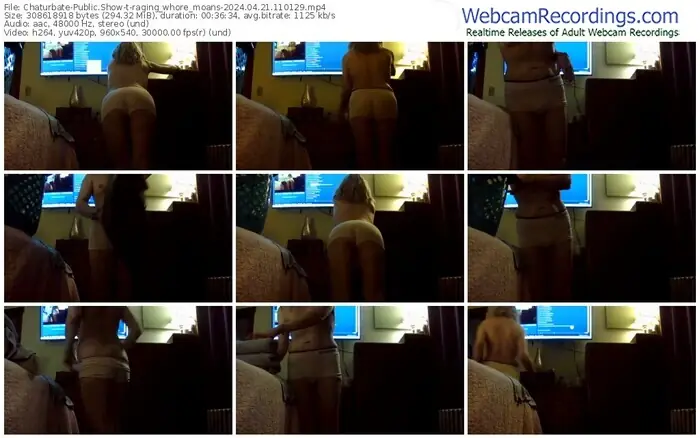 chaturbate-raging_whore_moans-04-21-2024-11-01-29