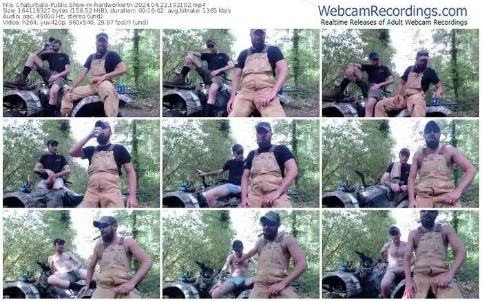 chaturbate-hardworkertn-04-22-2024-19-21-02