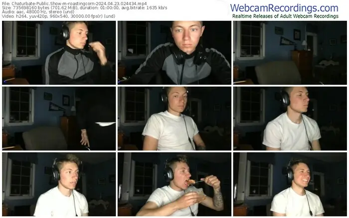 chaturbate-roastingcorn-04-23-2024-02-44-34