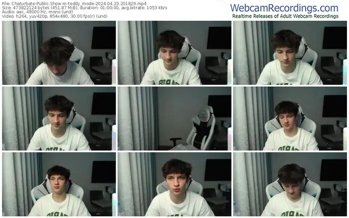 chaturbate-teddy_mode-04-23-2024-20-18-29