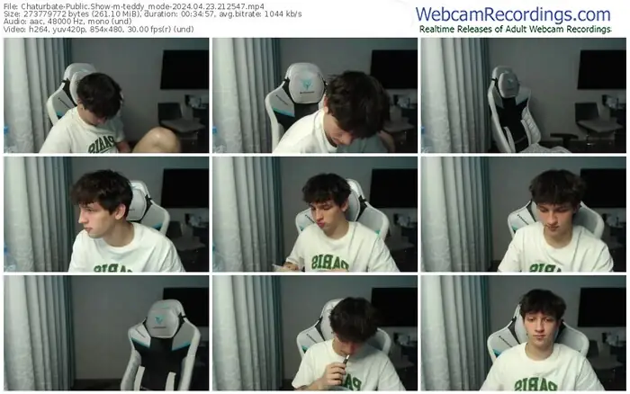 chaturbate-teddy_mode-04-23-2024-21-25-47