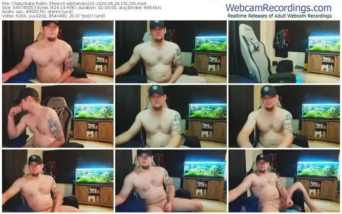 chaturbate-alphanuts101-04-26-2024-10-12-00