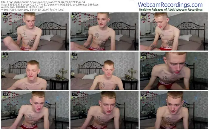 chaturbate-endo_wolf-04-27-2024-08-21-35