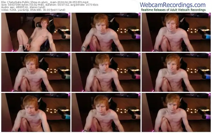 chaturbate-alvin__main-04-28-2024-05-53-55