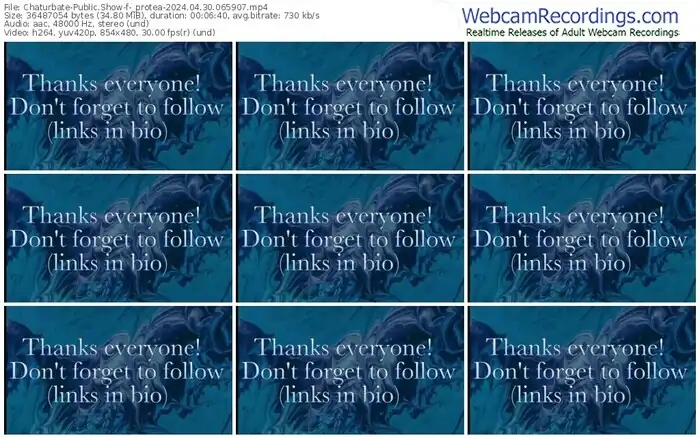 chaturbate-_protea-04-30-2024-06-59-07