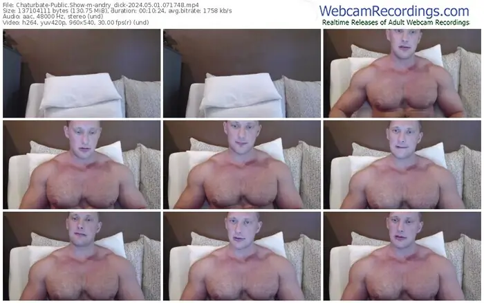 chaturbate-andry_dick-05-01-2024-07-17-48