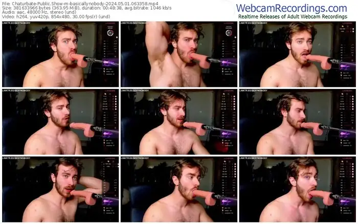 chaturbate-basicallynobody-05-01-2024-06-33-58