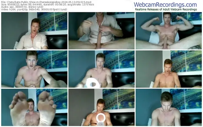chaturbate-therealveggieboy-05-13-2024-05-10-15