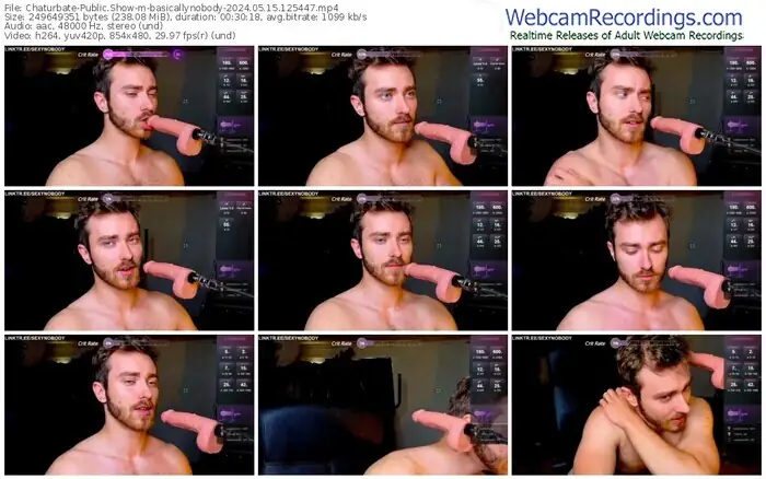 chaturbate-basicallynobody-05-15-2024-12-54-47