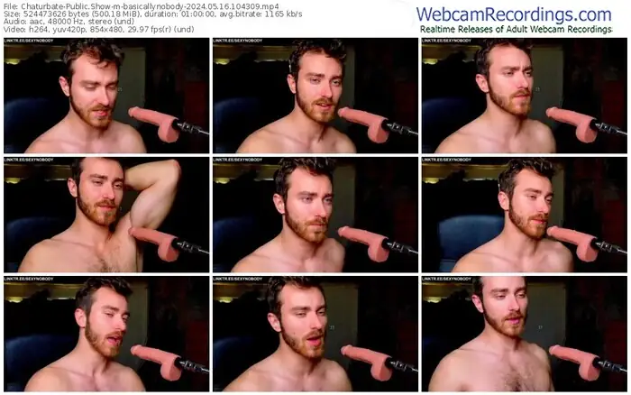 chaturbate-basicallynobody-05-16-2024-10-43-09