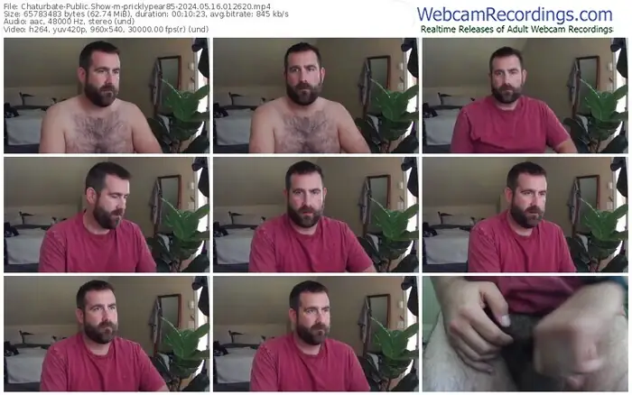 chaturbate-pricklypear85-05-16-2024-01-26-20