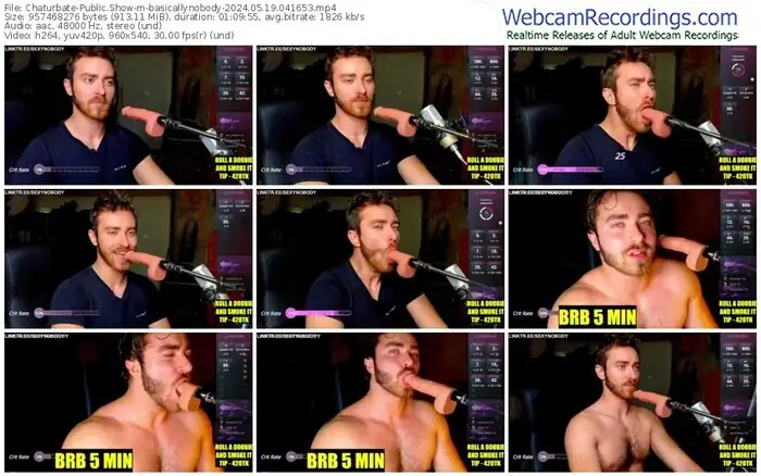 chaturbate-basicallynobody-05-19-2024-04-16-53