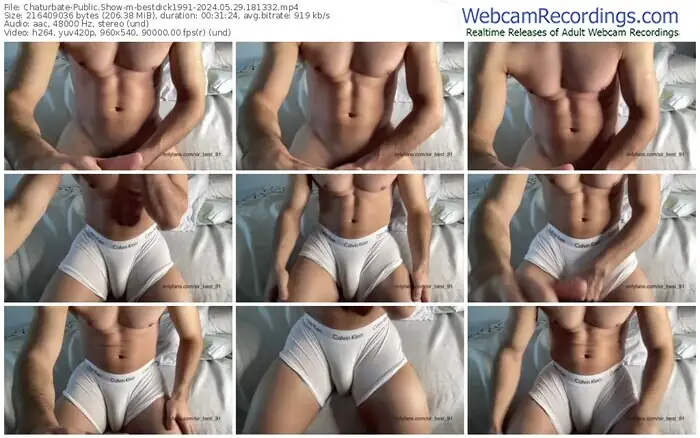 chaturbate-bestdick1991-05-29-2024-18-13-32