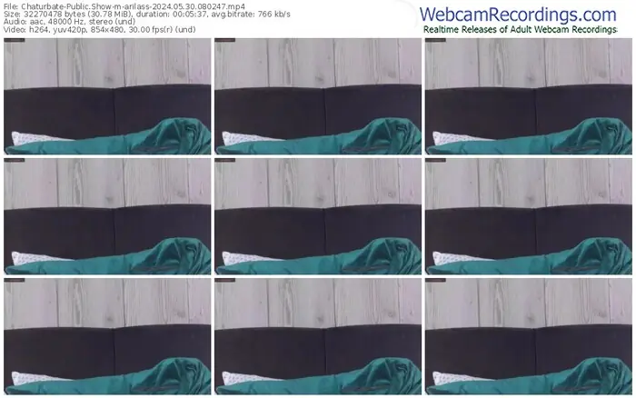 chaturbate-arilass-05-30-2024-08-02-47