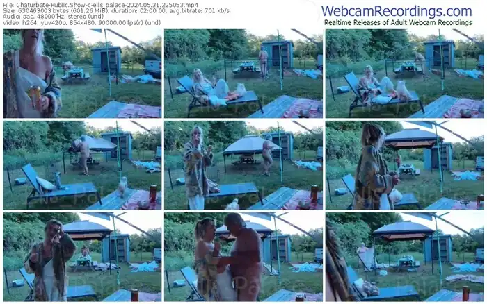 chaturbate-ells_palace-05-31-2024-22-50-53