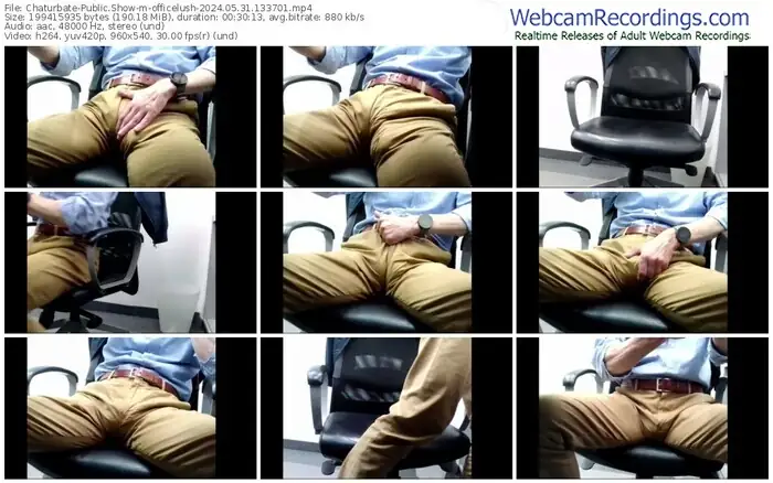 chaturbate-officelush-05-31-2024-13-37-01