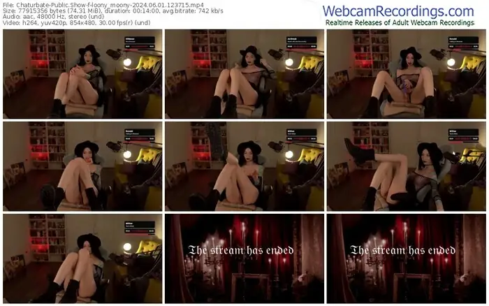 chaturbate-loony_moony-06-01-2024-12-37-15