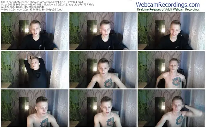 chaturbate-artycropp-06-01-2024-17-03-24