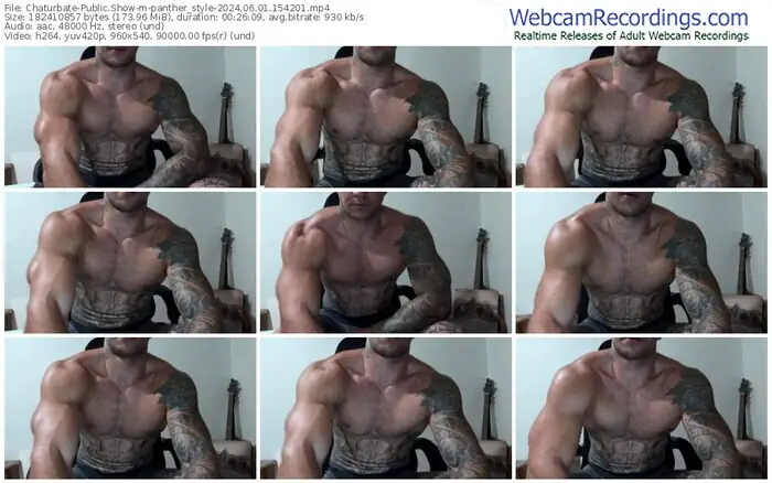 chaturbate-panther_style-06-01-2024-15-42-01