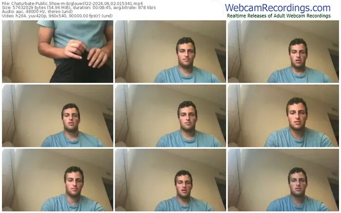 chaturbate-biglouwill22-06-02-2024-01-53-41