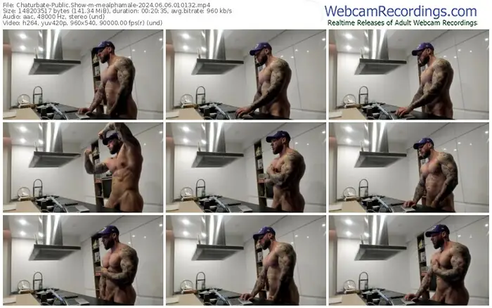 chaturbate-mealphamale-06-06-2024-01-01-32