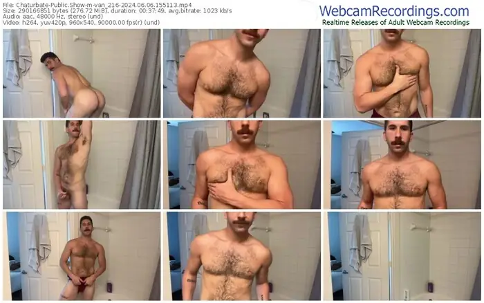 chaturbate-van_216-06-06-2024-15-51-13