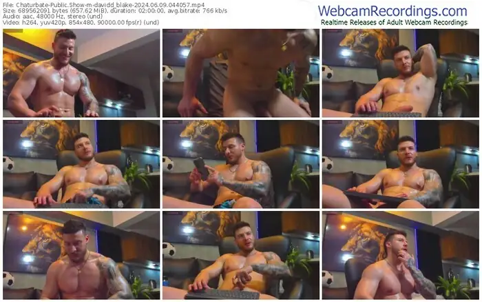 chaturbate-davidd_blake-06-09-2024-04-40-57