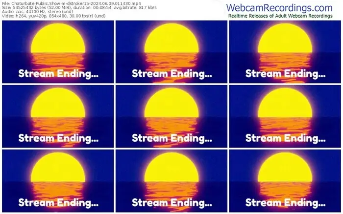 chaturbate-dstroker15-06-09-2024-01-14-30