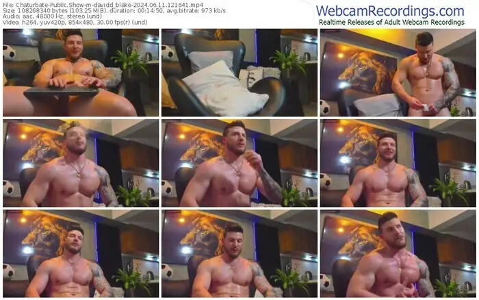 chaturbate-davidd_blake-06-11-2024-12-16-41