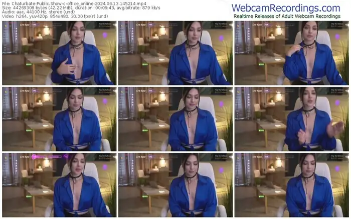 chaturbate-office_online-06-13-2024-14-52-14