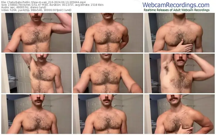 chaturbate-van_216-06-13-2024-20-56-44