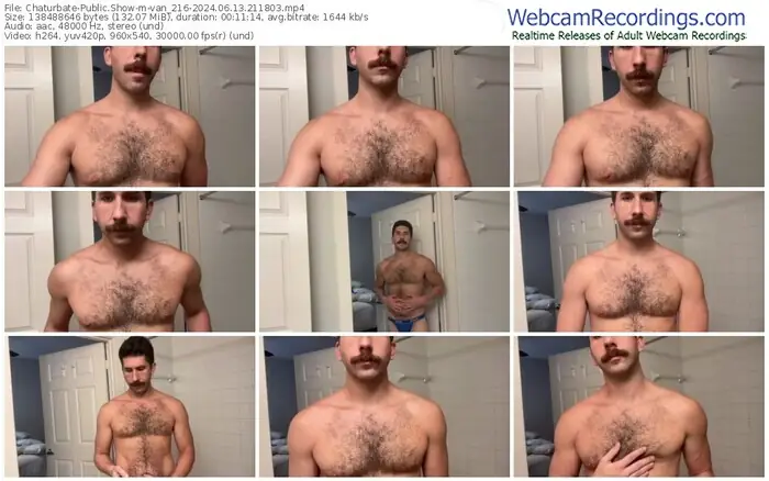 chaturbate-van_216-06-13-2024-21-18-03