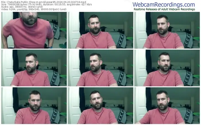 chaturbate-pricklypear85-06-20-2024-00-47-04