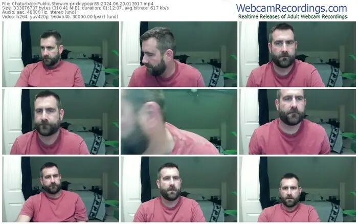 chaturbate-pricklypear85-06-20-2024-01-39-17