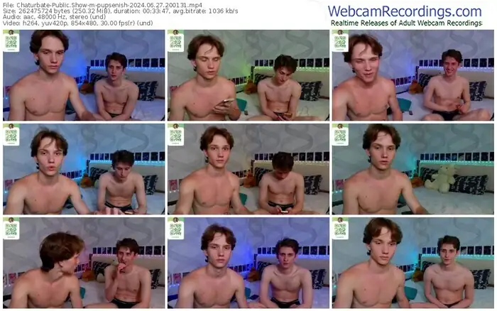chaturbate-pupsenish-06-27-2024-20-01-31