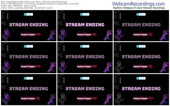 chaturbate-minions_-07-02-2024-06-20-24