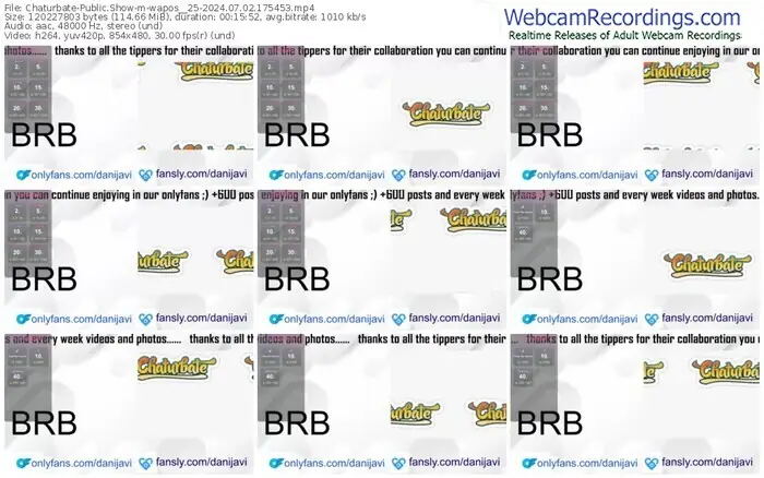 chaturbate-wapos__25-07-02-2024-17-54-53