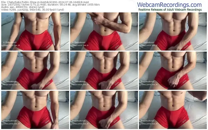 chaturbate-bestdick1991-07-06-2024-16-46-18