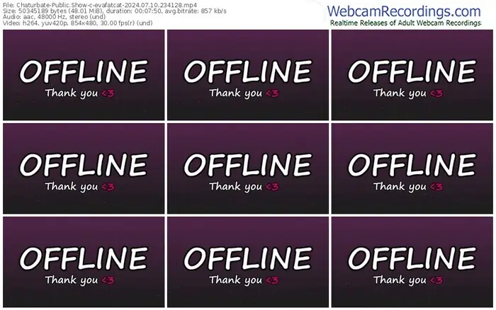 chaturbate-evafatcat-07-10-2024-23-41-28