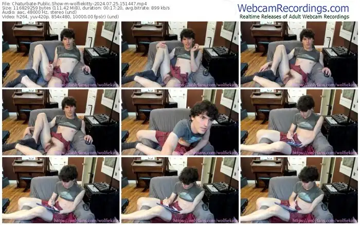 chaturbate-wolfiekitty-07-25-2024-15-14-47