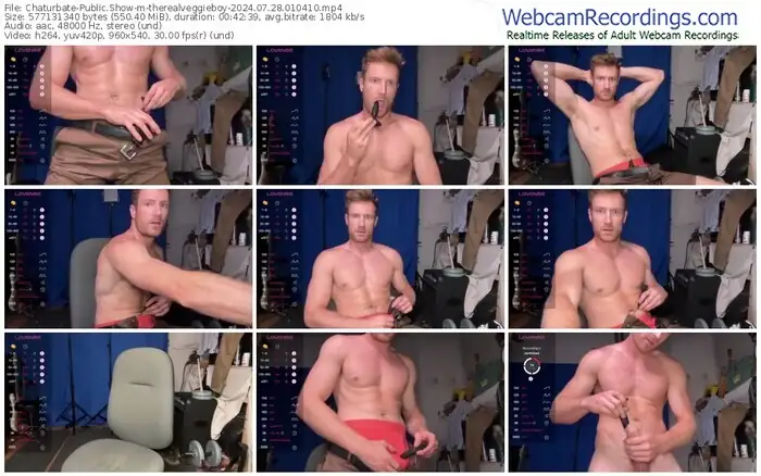 chaturbate-therealveggieboy-07-28-2024-01-04-10