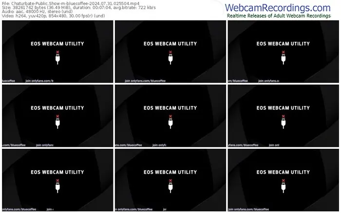 chaturbate-bluecoffee-07-31-2024-02-55-04