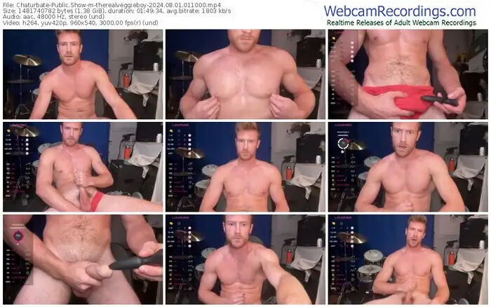 chaturbate-therealveggieboy-08-01-2024-01-10-00