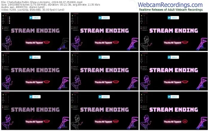 chaturbate-minions_-08-07-2024-05-48-01