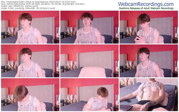chaturbate-stanislawww-08-07-2024-01-31-25