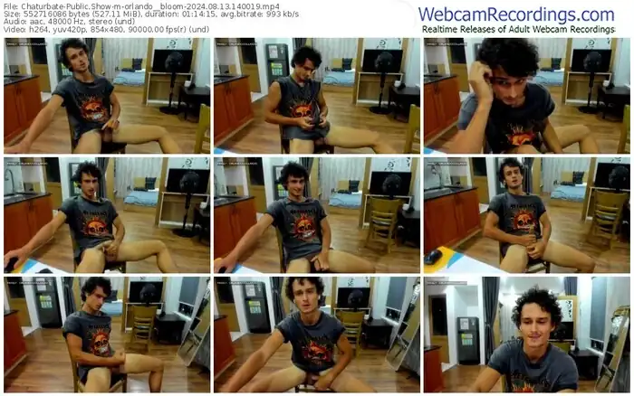 chaturbate-orlando__bloom-08-13-2024-14-00-19