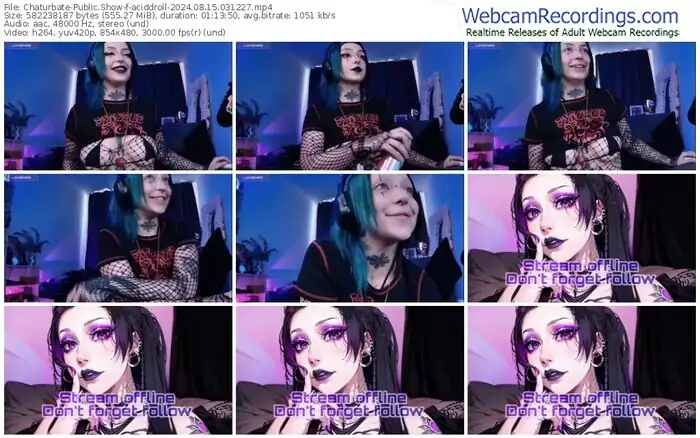 chaturbate-aciddroll-08-15-2024-03-12-27