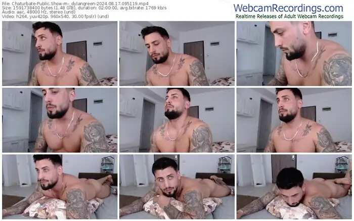chaturbate-_dylangreen-08-17-2024-09-51-19