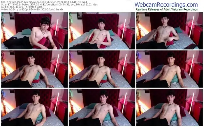 chaturbate-dean_dickson-08-19-2024-14-11-36