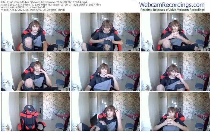 chaturbate-hppdmodel-08-20-2024-12-06-14